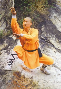 Shaolinmoench