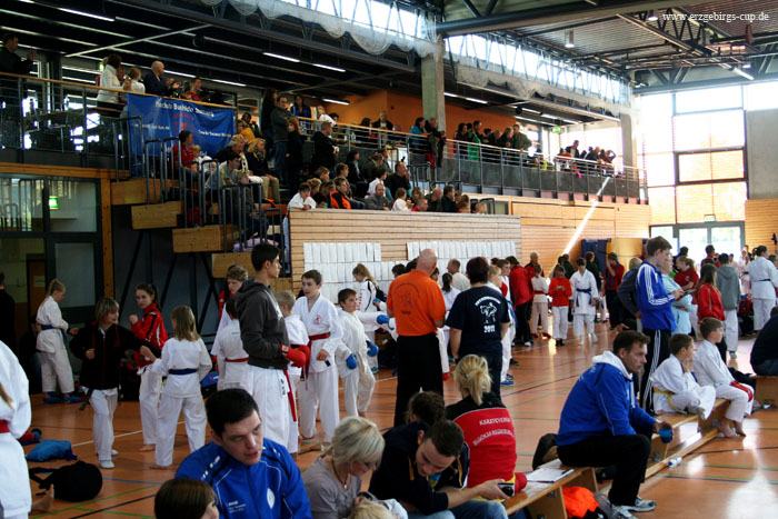 Vorschaubild Erzgebirgs-Cup 2013